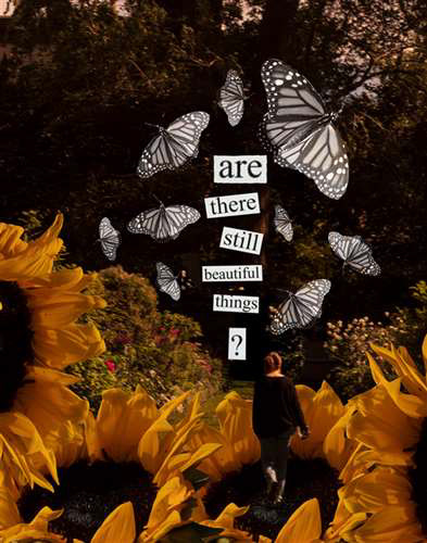 Julia Loveman, Shaker Heights High School, Grade 12, Beautiful Things?, Educator: Kathleen Fleming, Honorable Mention