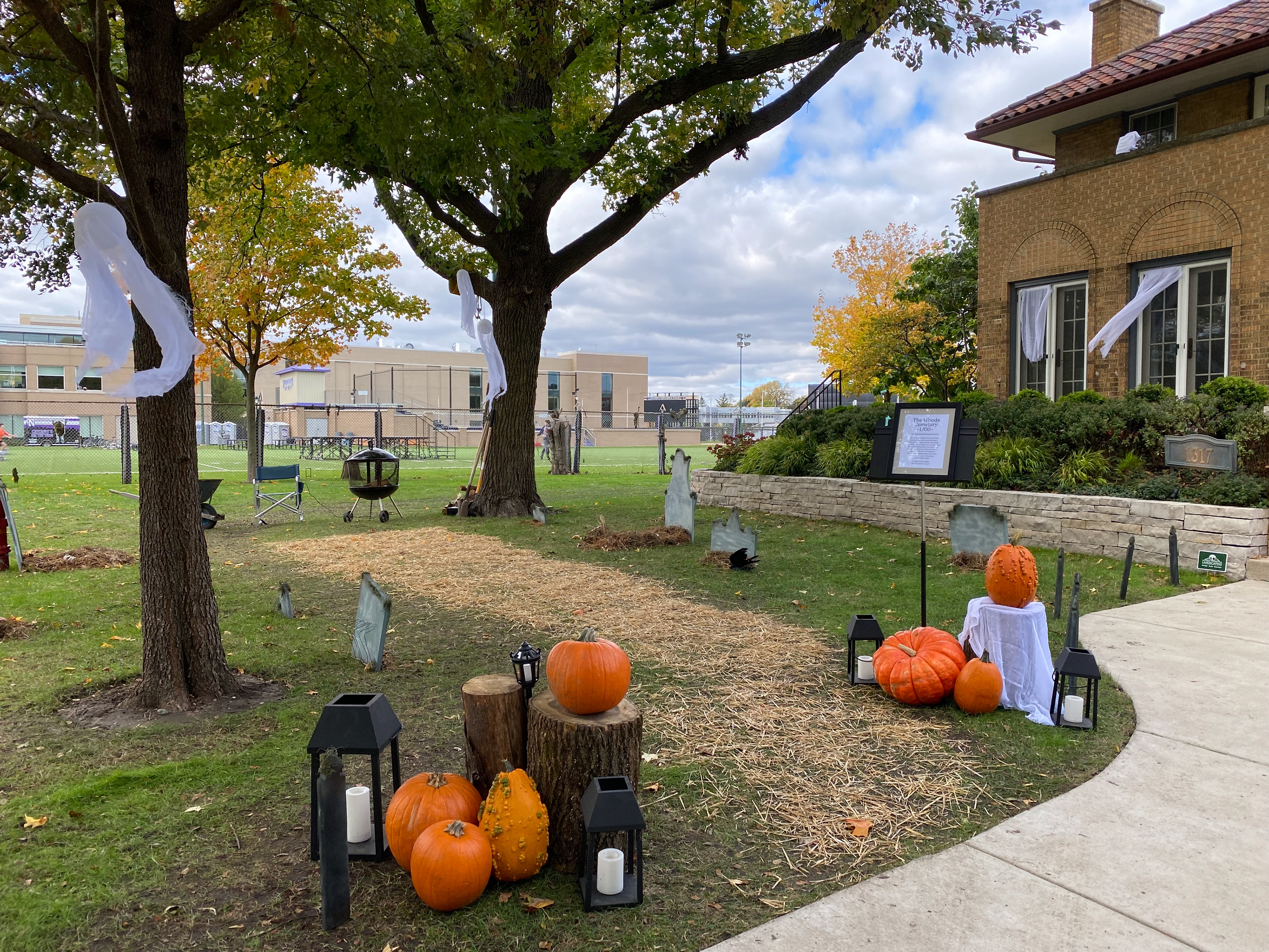 Front yard final product