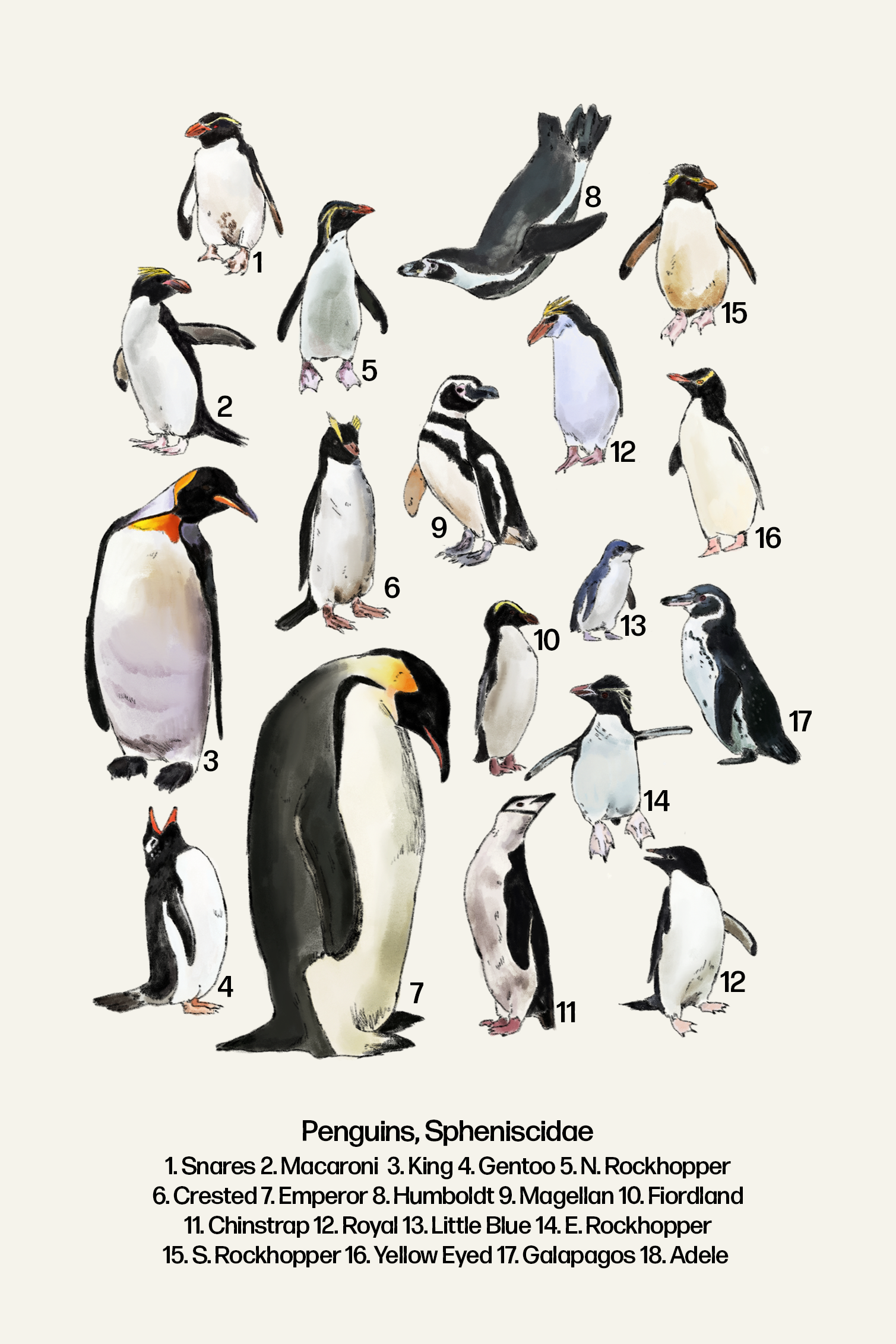 Penguins