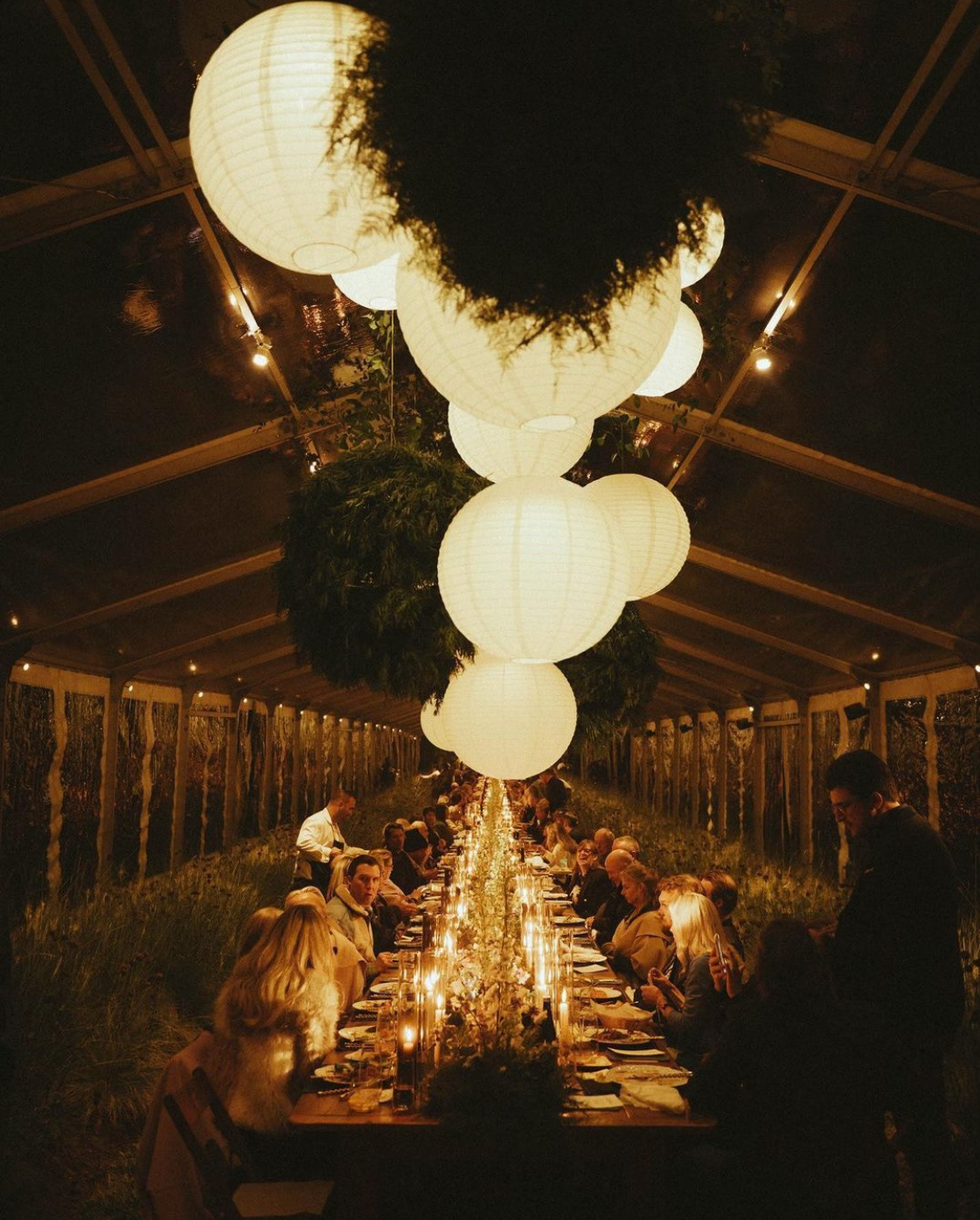 Paper lantern & plant orb installation