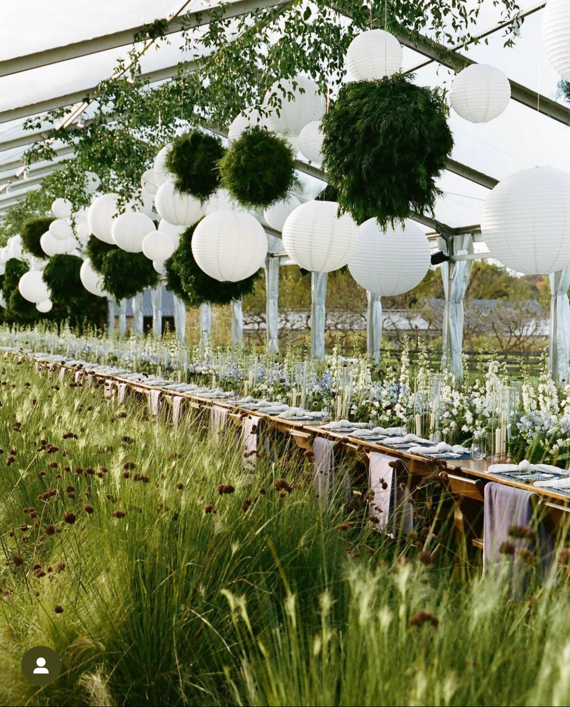 Paper lantern & plant orb installation