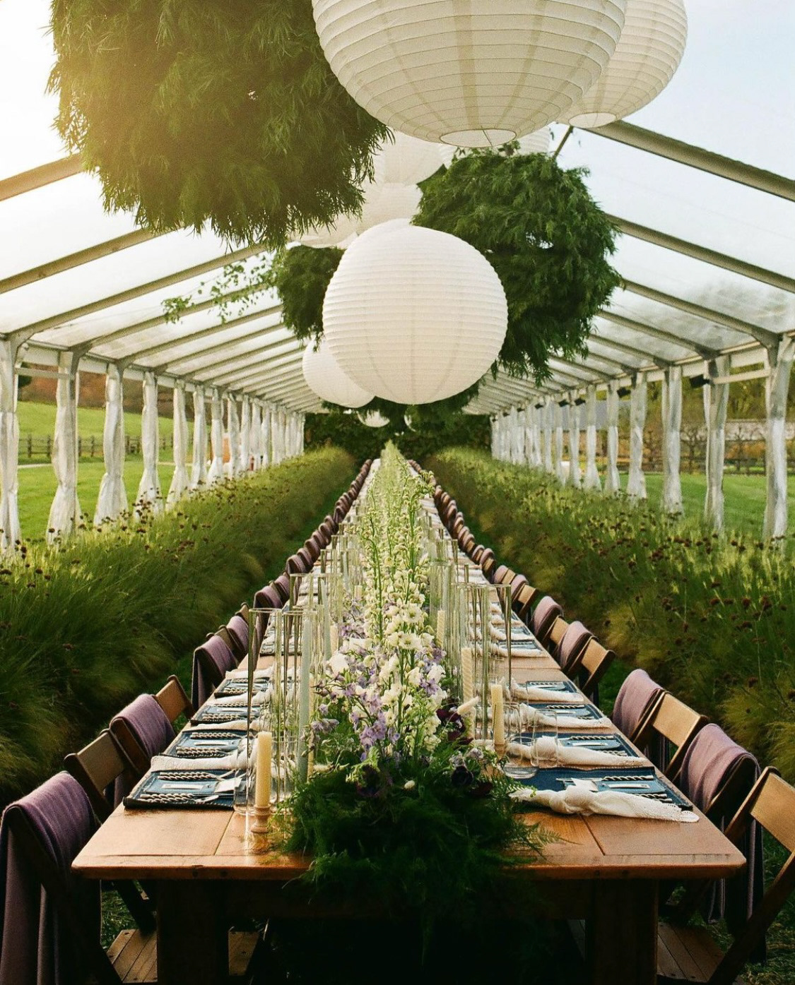 Paper lantern & plant orb installation