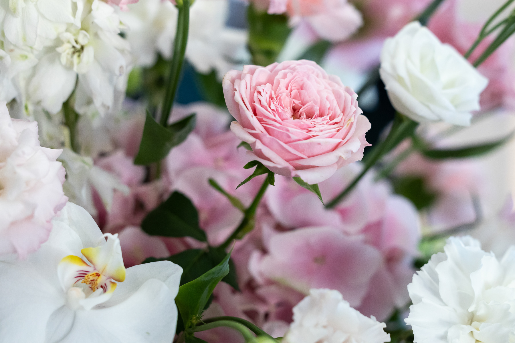 Hääkuvaus, Valokuvaaja Iina Kautto