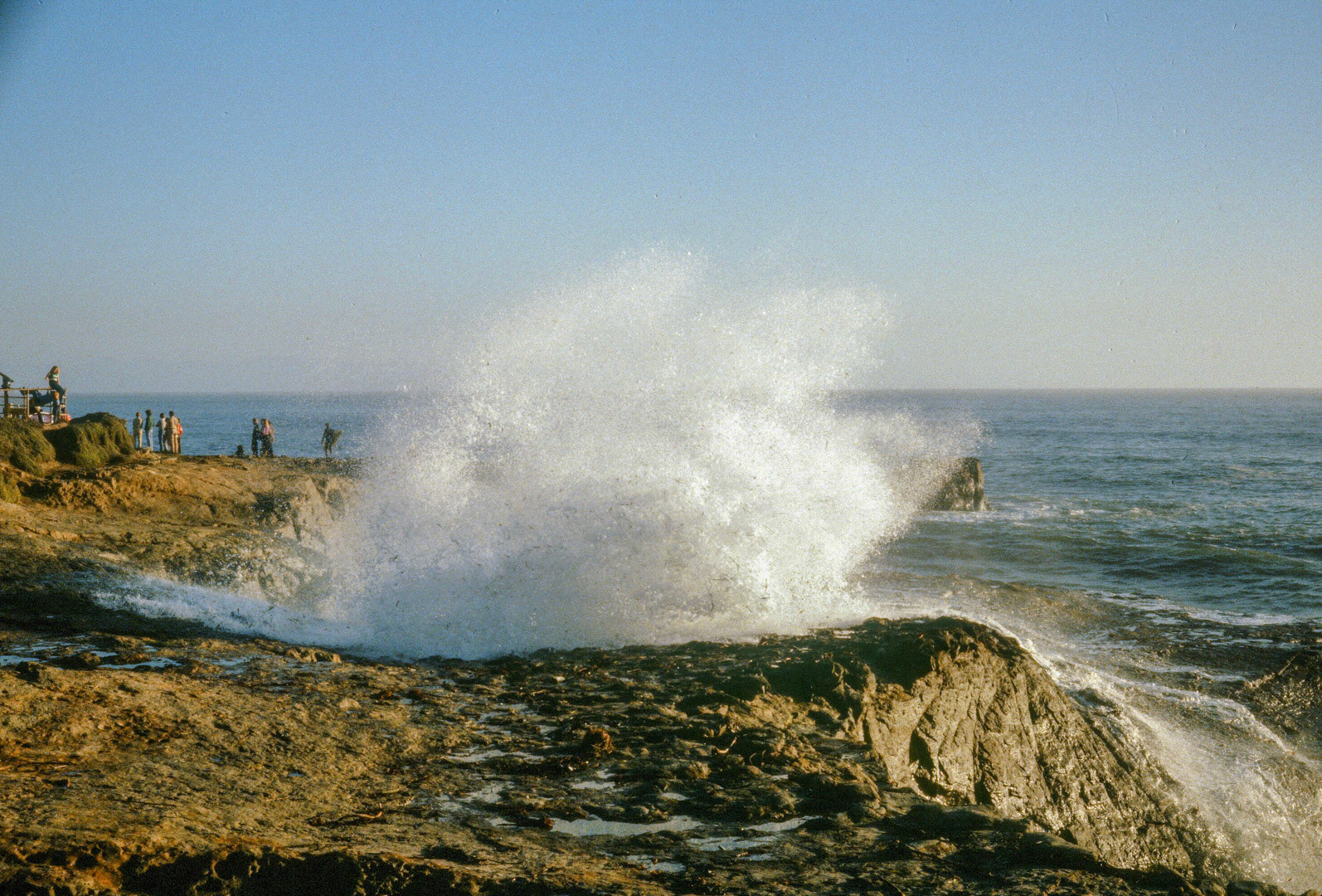 Santa Cruz, Calif.