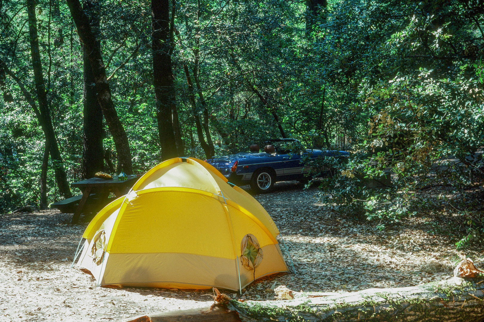 Car camping in Calif.