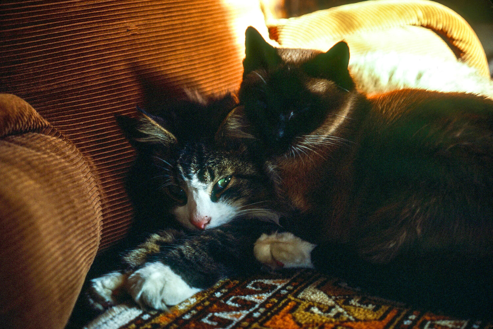 Sadie and Thai - best friends