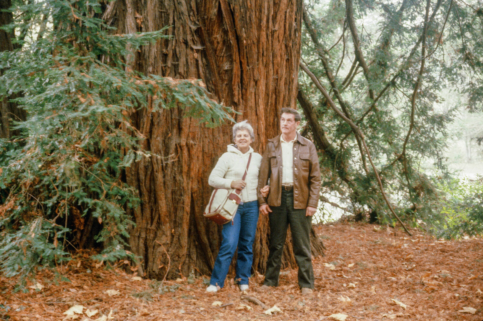Patti's parents in Calif.
