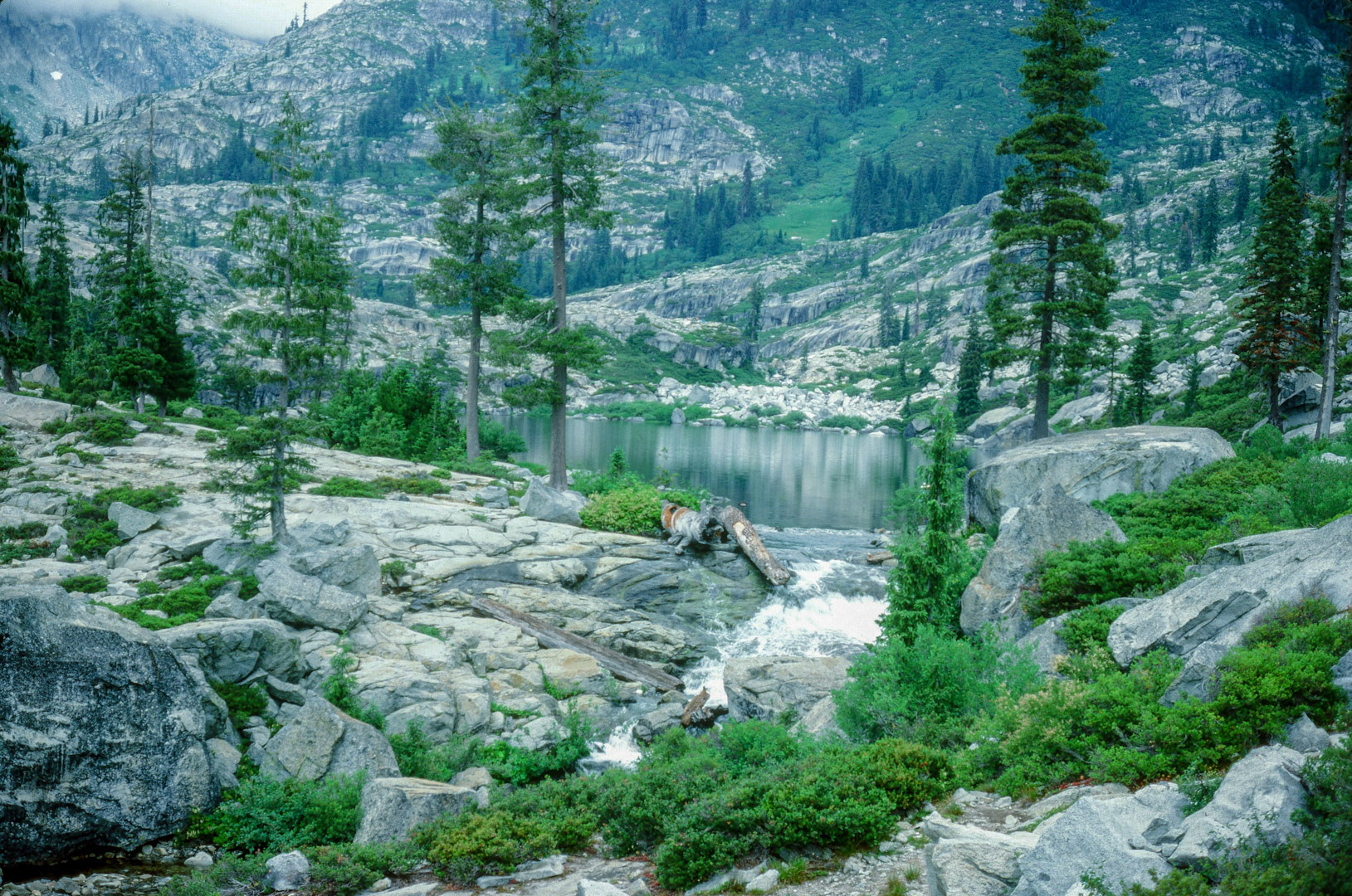 Near our campsite in the Trinity Alps