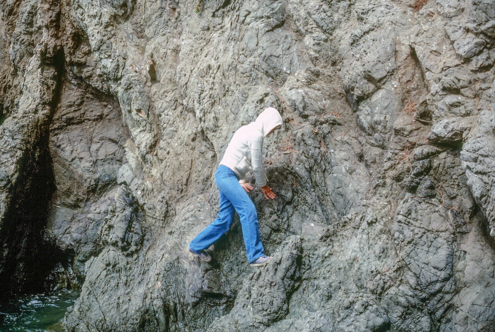 Patti exploring the California coast