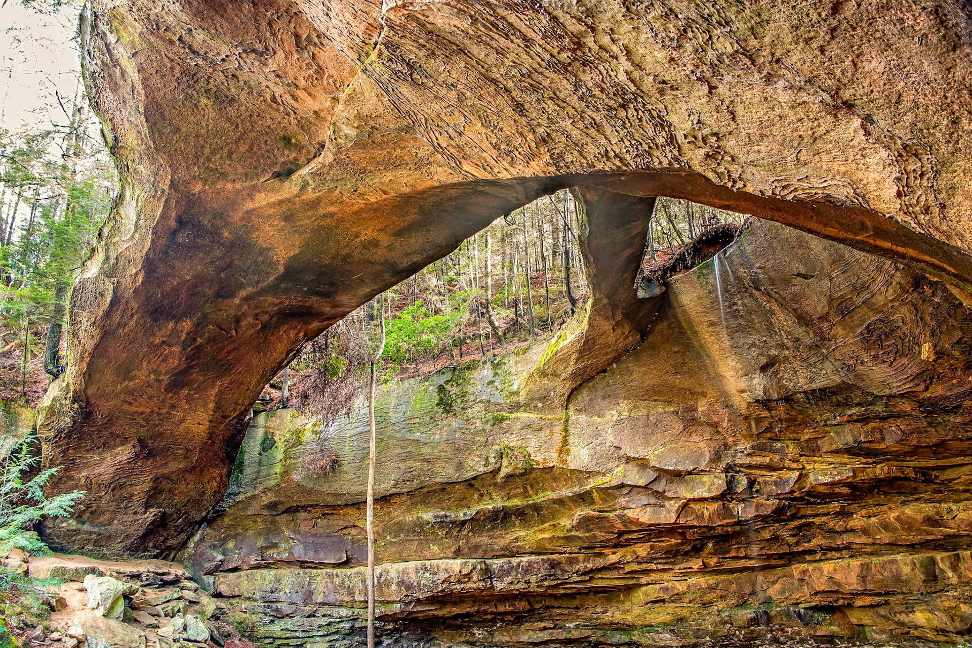 Natural Bridge, Alabama