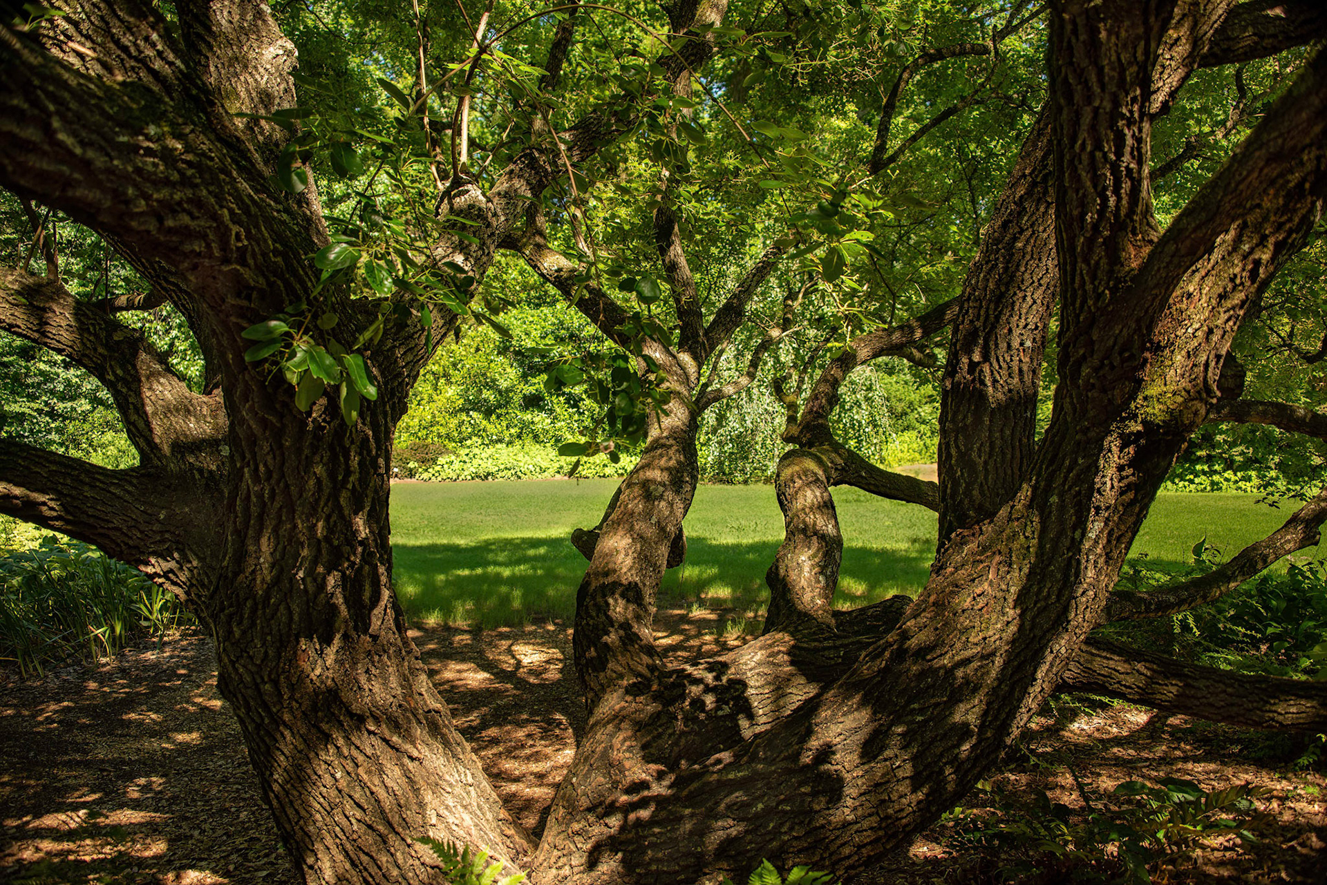 Huntsville Botanical Gardens