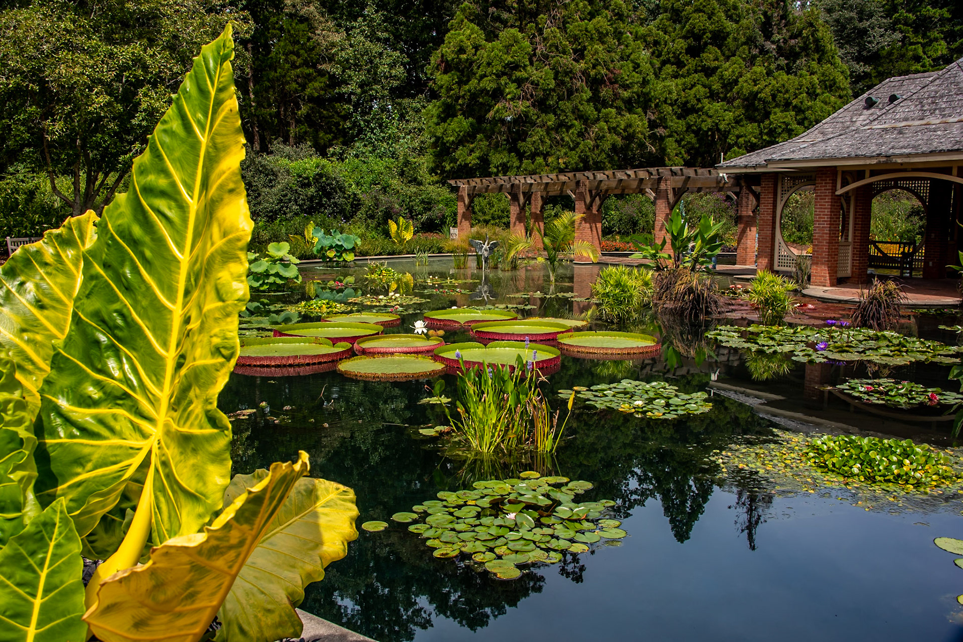 Botanical Gardens, Huntsville, AL