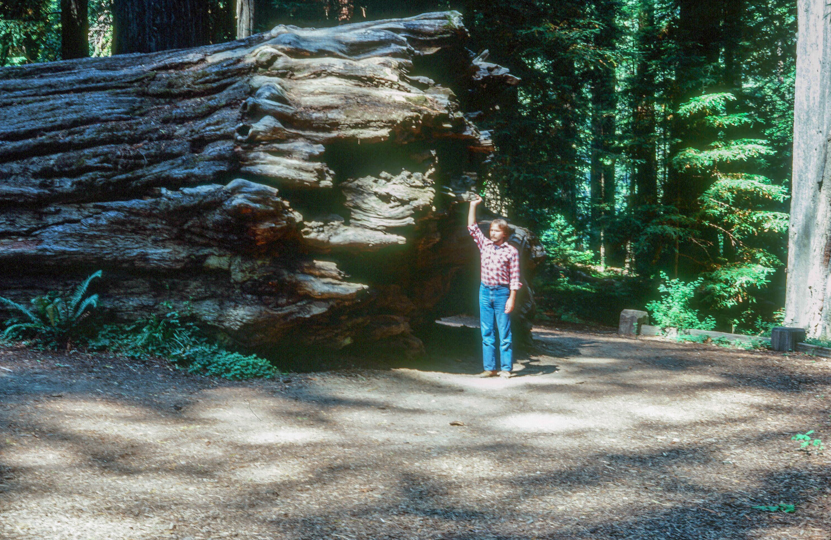 Honest, the tree was there when I walked up