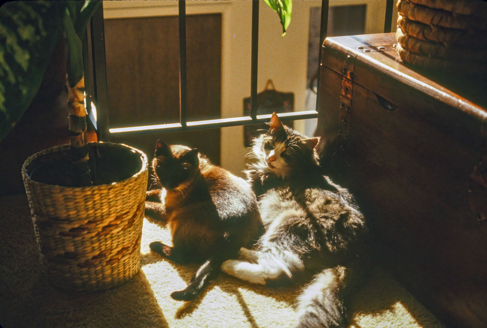 Thai and Sadie