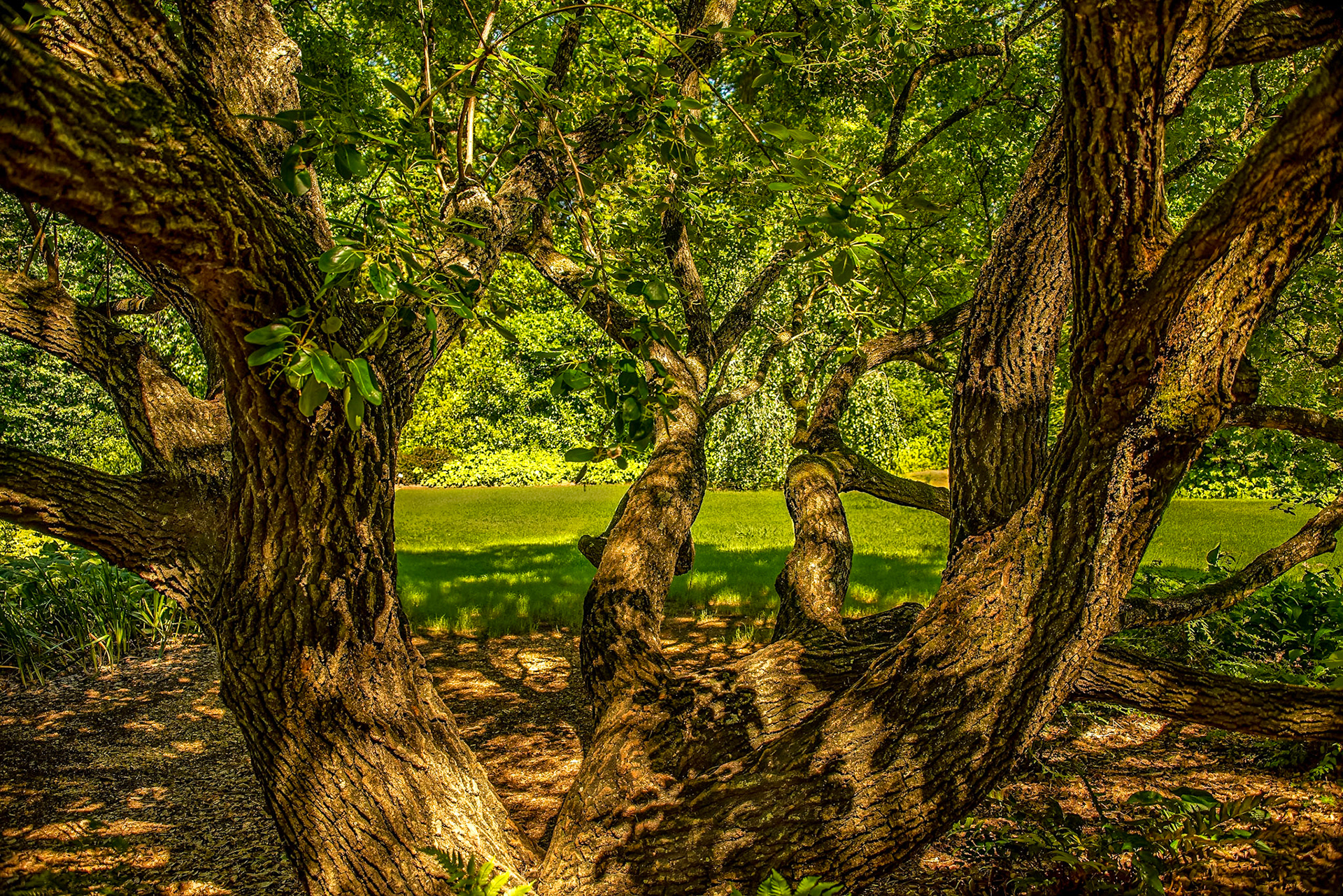 Huntsville Botanical Gardens