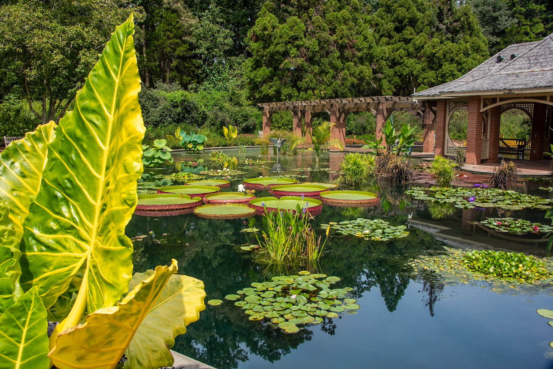 Botanical Gardens, Huntsville, AL