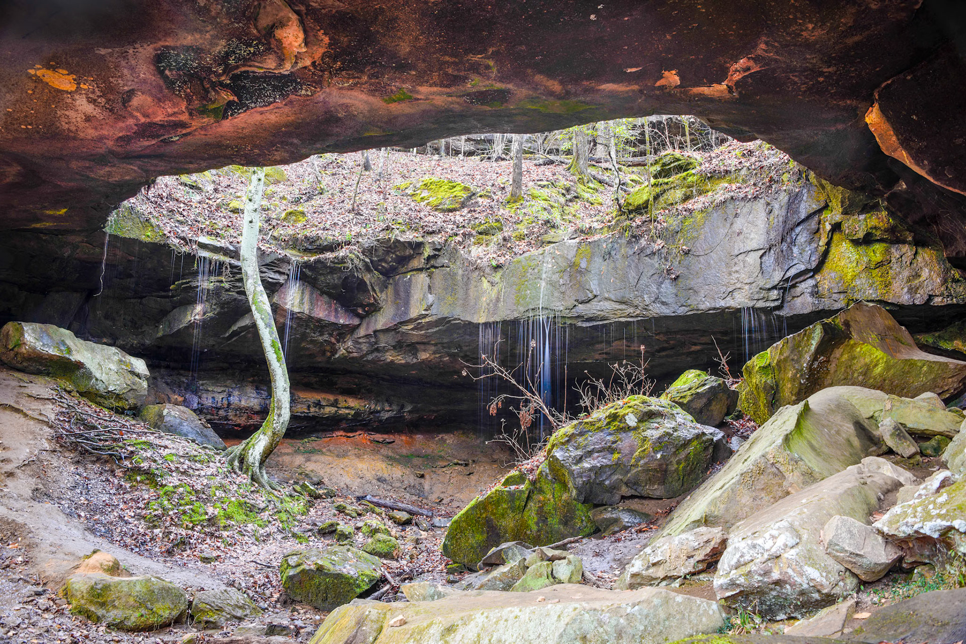 Natural Bridge, Bankhead Forest