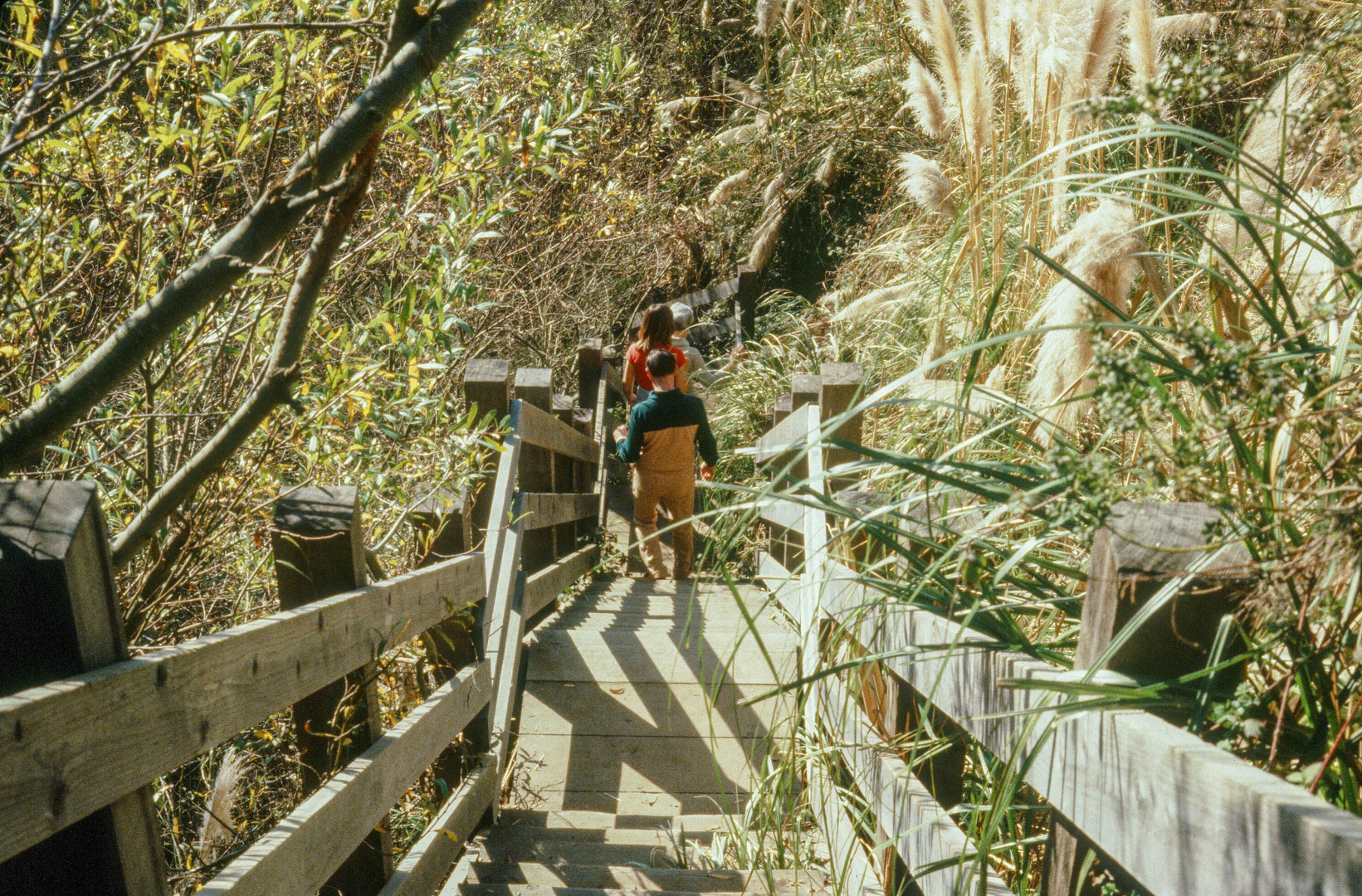 Aptos, Cal. - the walk down to the beach from our house