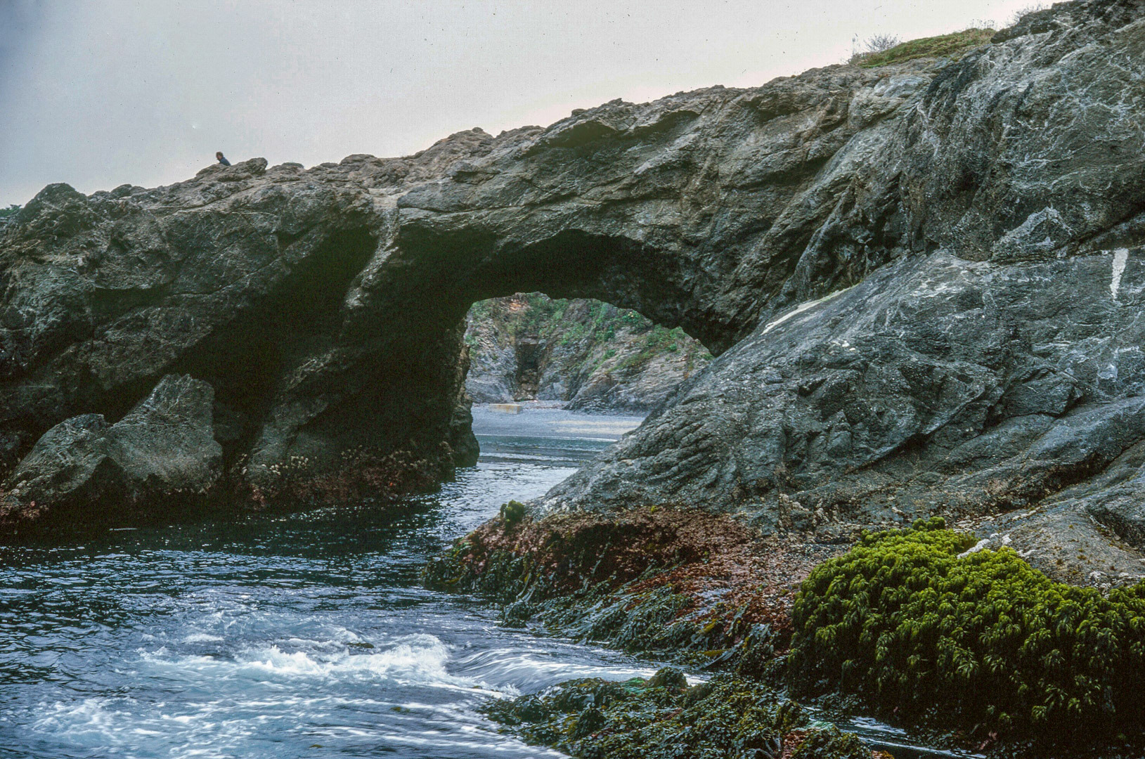 Mendocino, Calif.