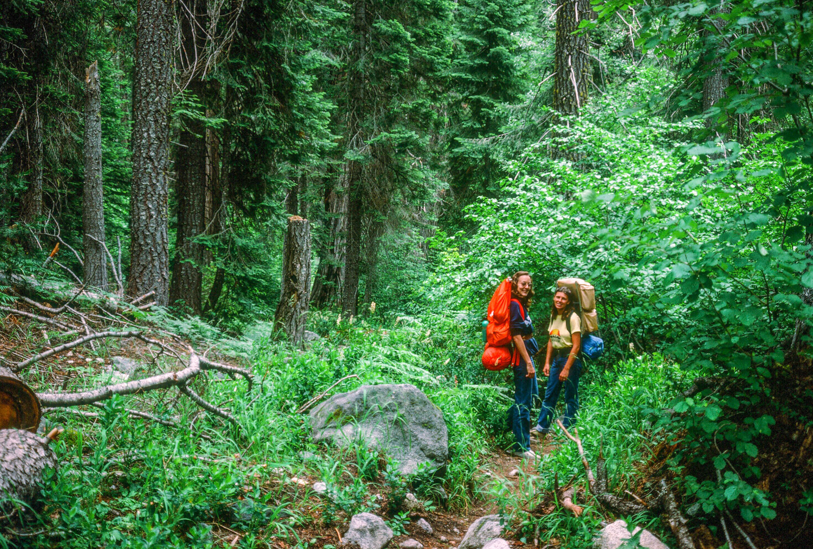 On the trail in the Sierras