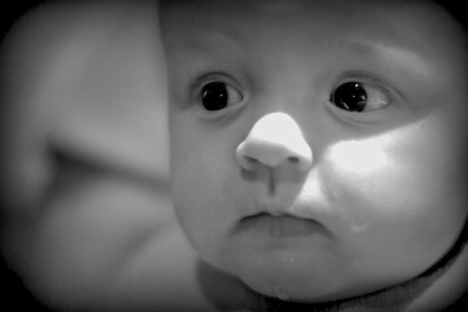 Baby Max