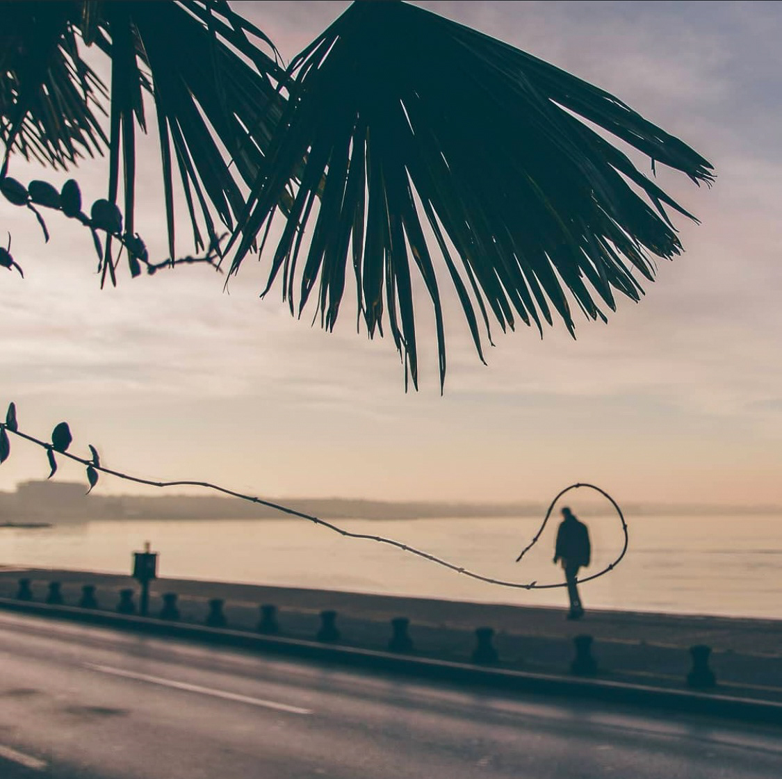 A creative composition of a leafless branch aligning perfectly with a silhouette of a man walking, highlighting nature and humanity.