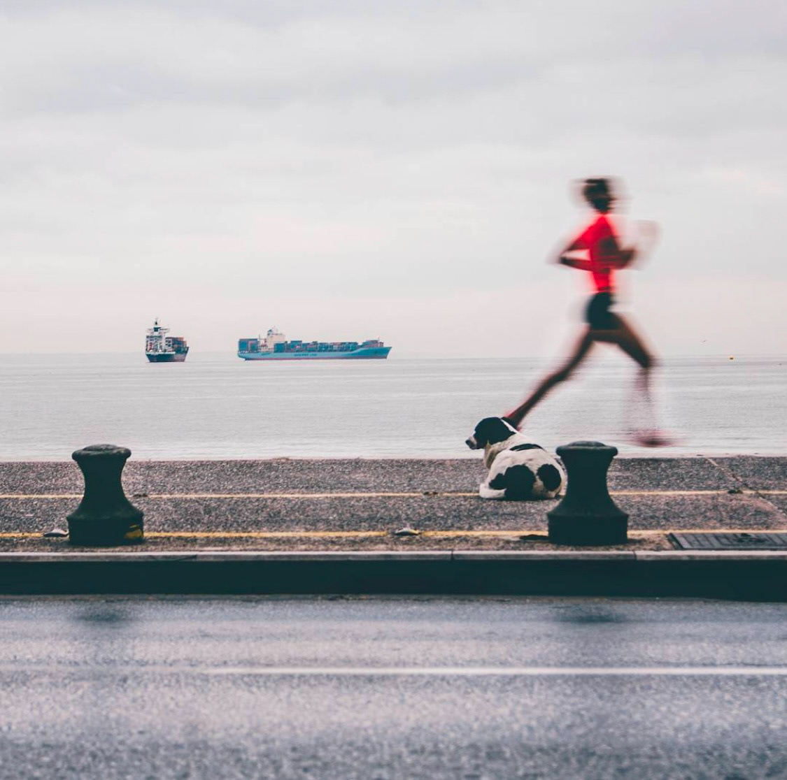 A black-and-white dog resting on the sidewalk while a jogger in a red top runs past, with ships visible on the distant waterline.