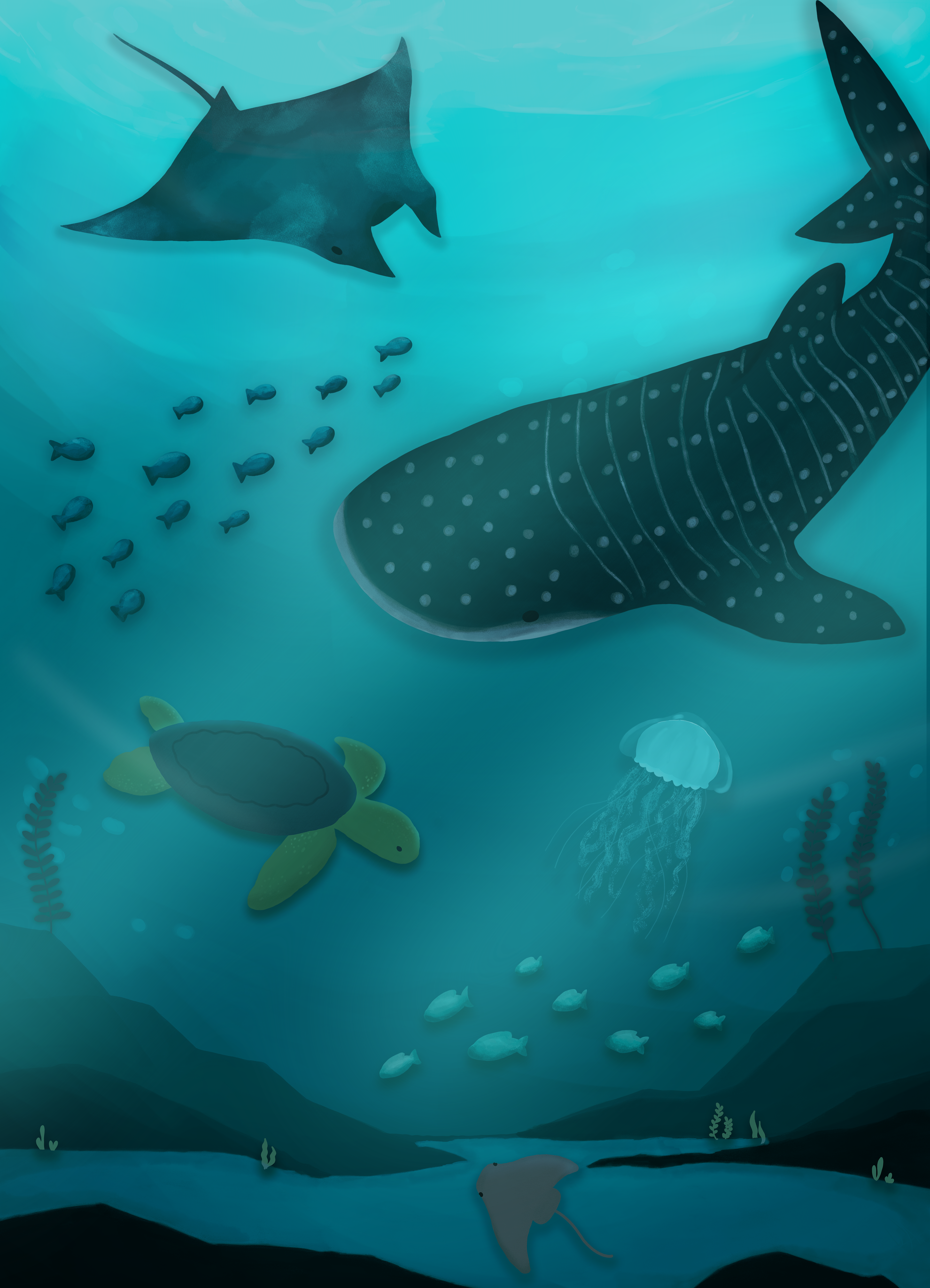 Sea Life