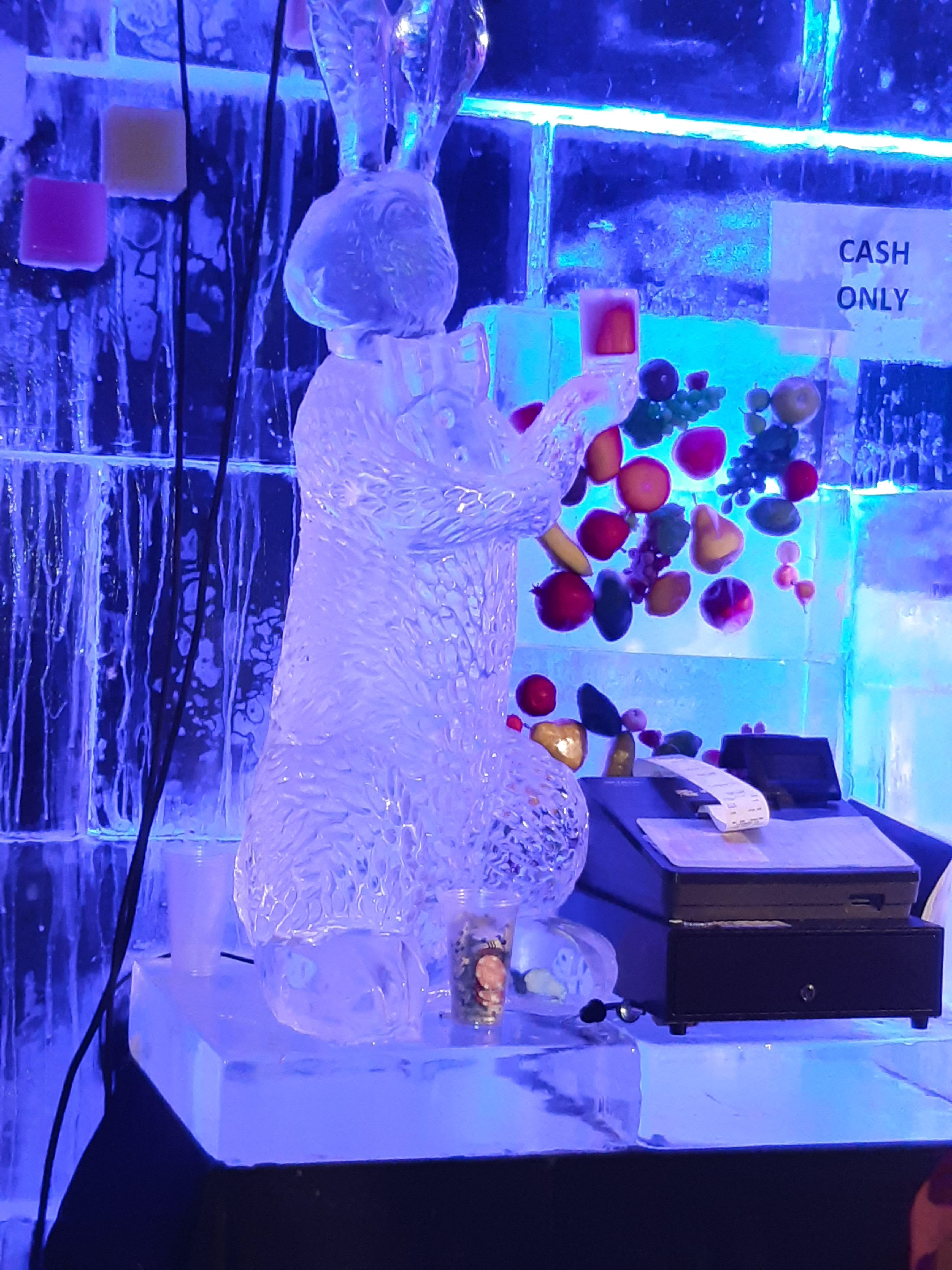 The Magic Ice Kingdom