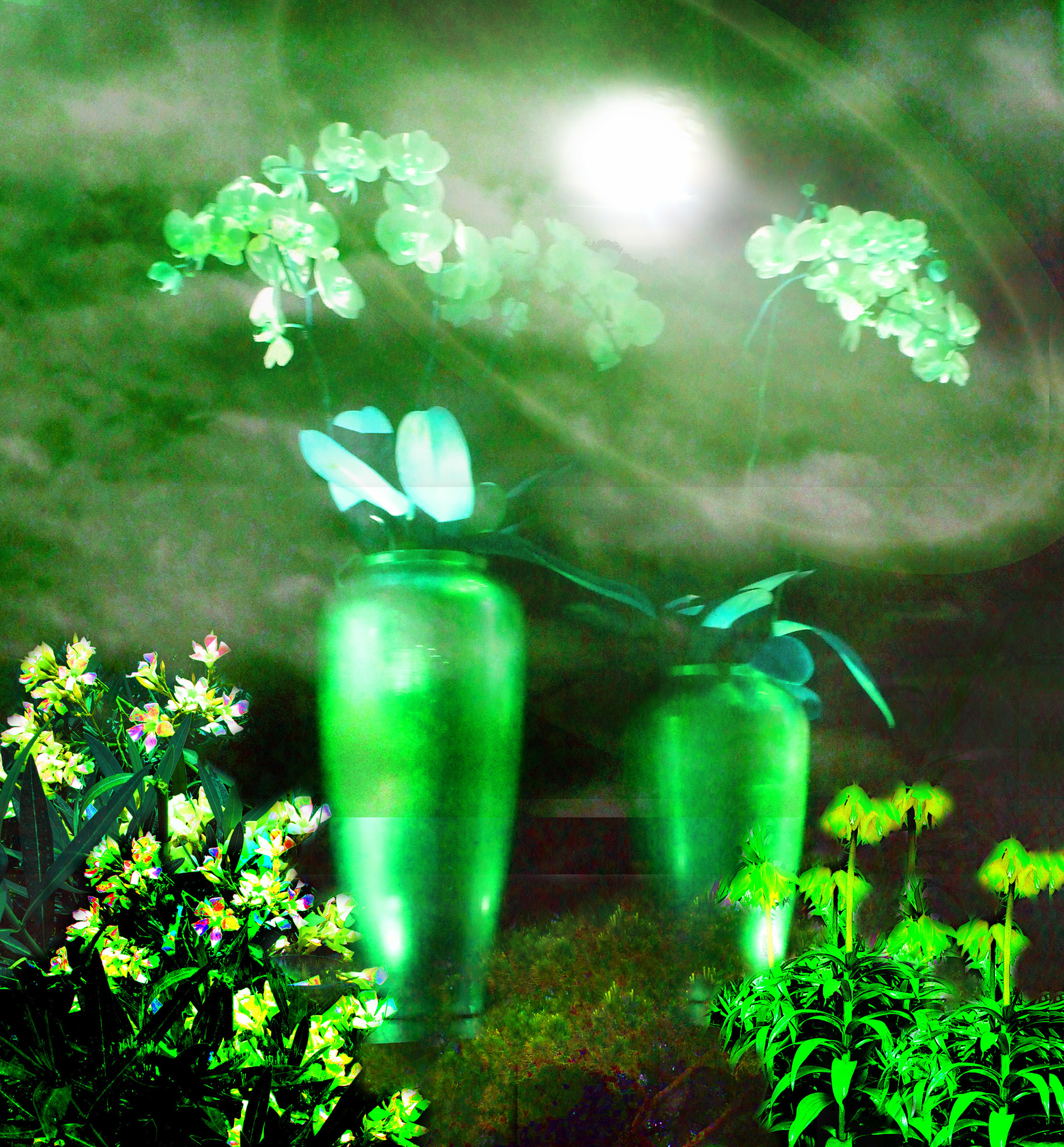 Green Planet