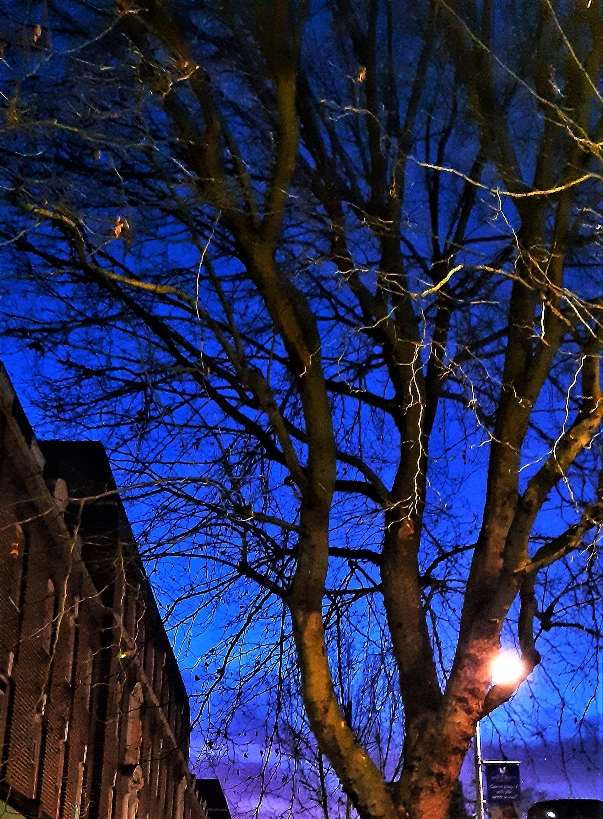 Deep Blue