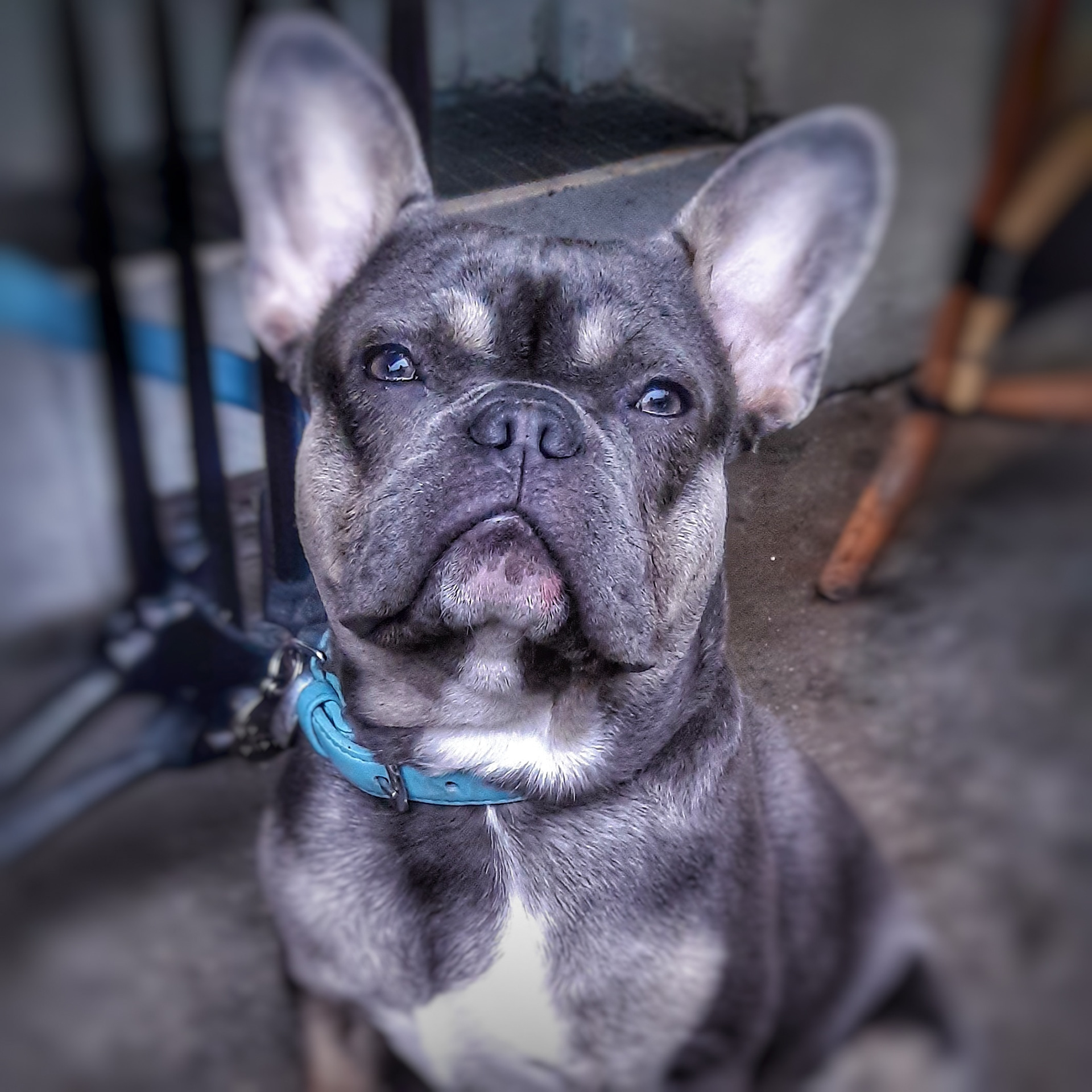 Billy