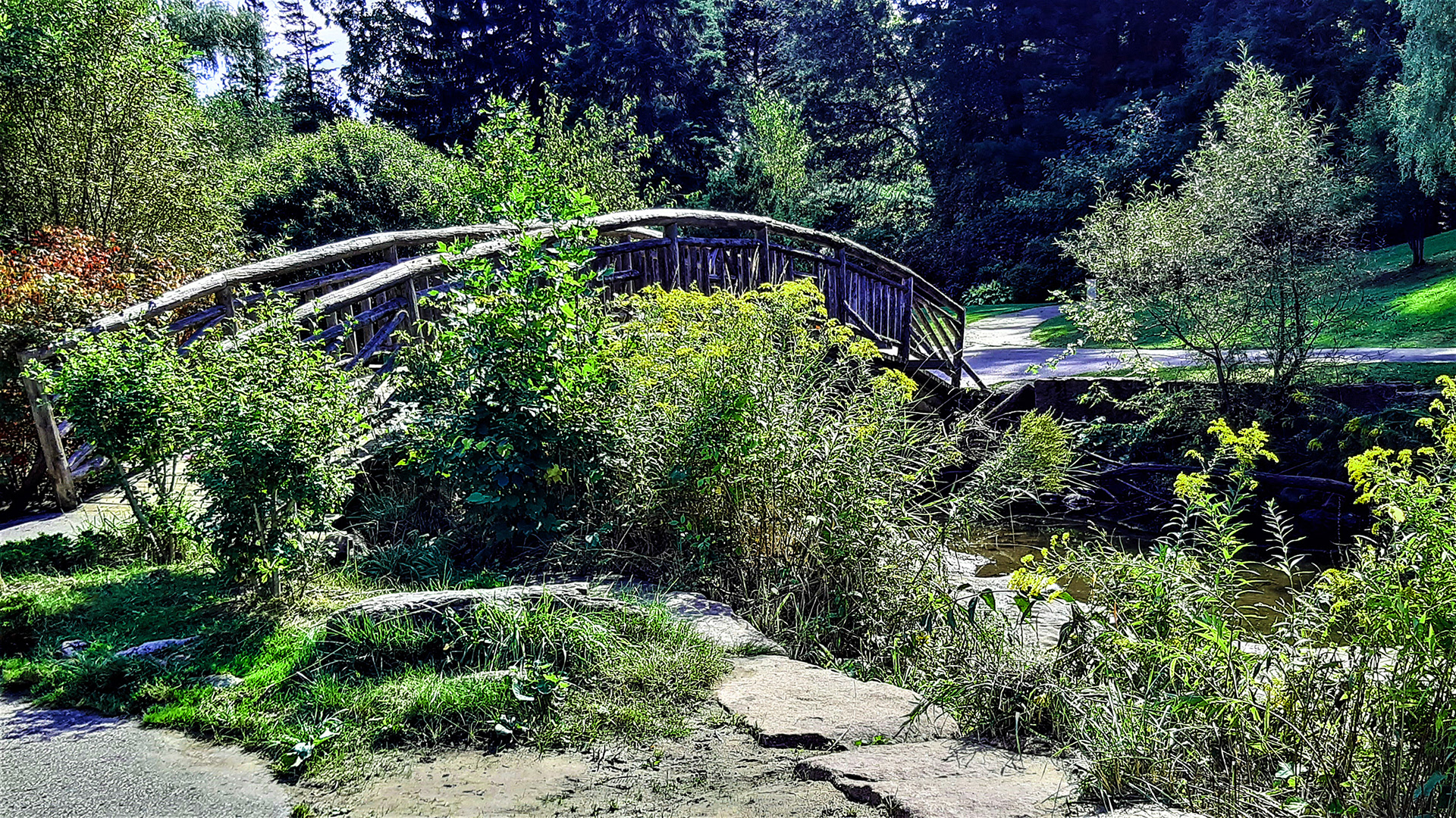 Crossing the Gardens