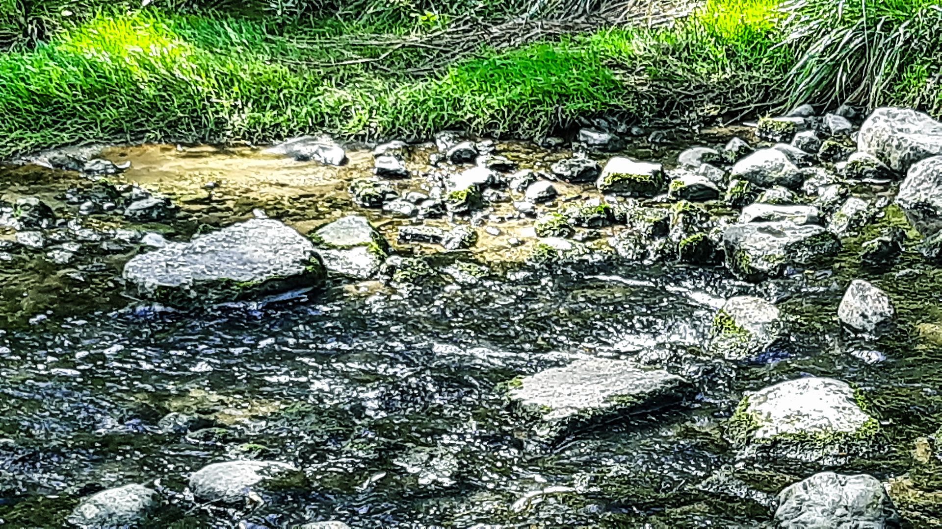 Rocks in a Stream