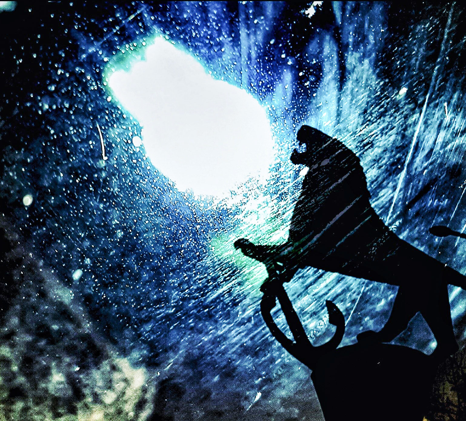 Howling at the Moon