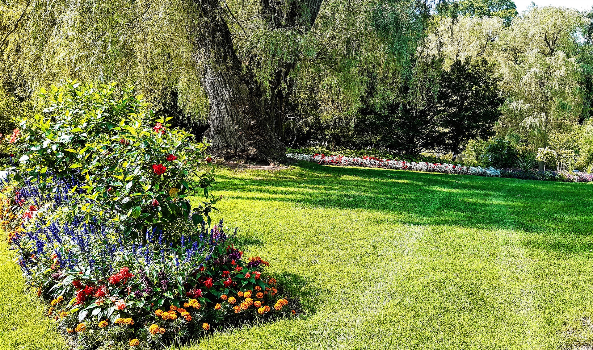 Bottanical Lawns