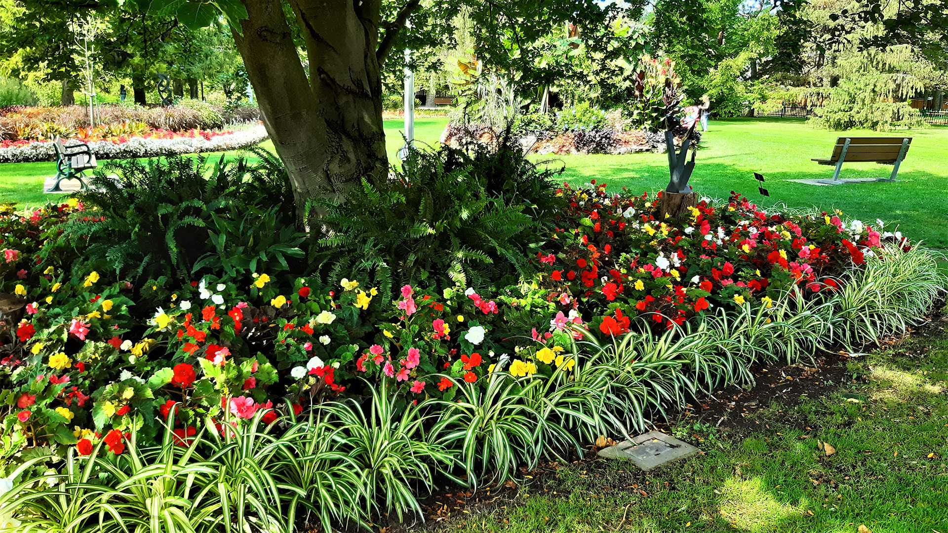 Flower Bed