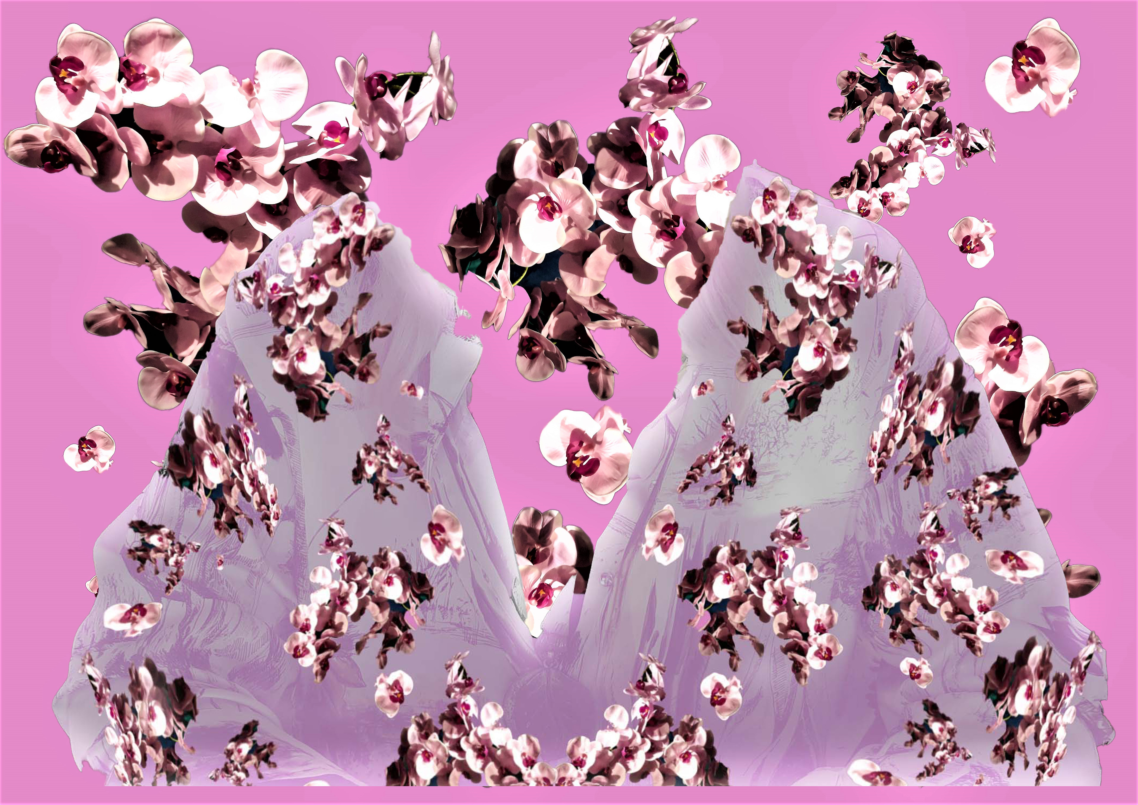 Fabric Design Blouse