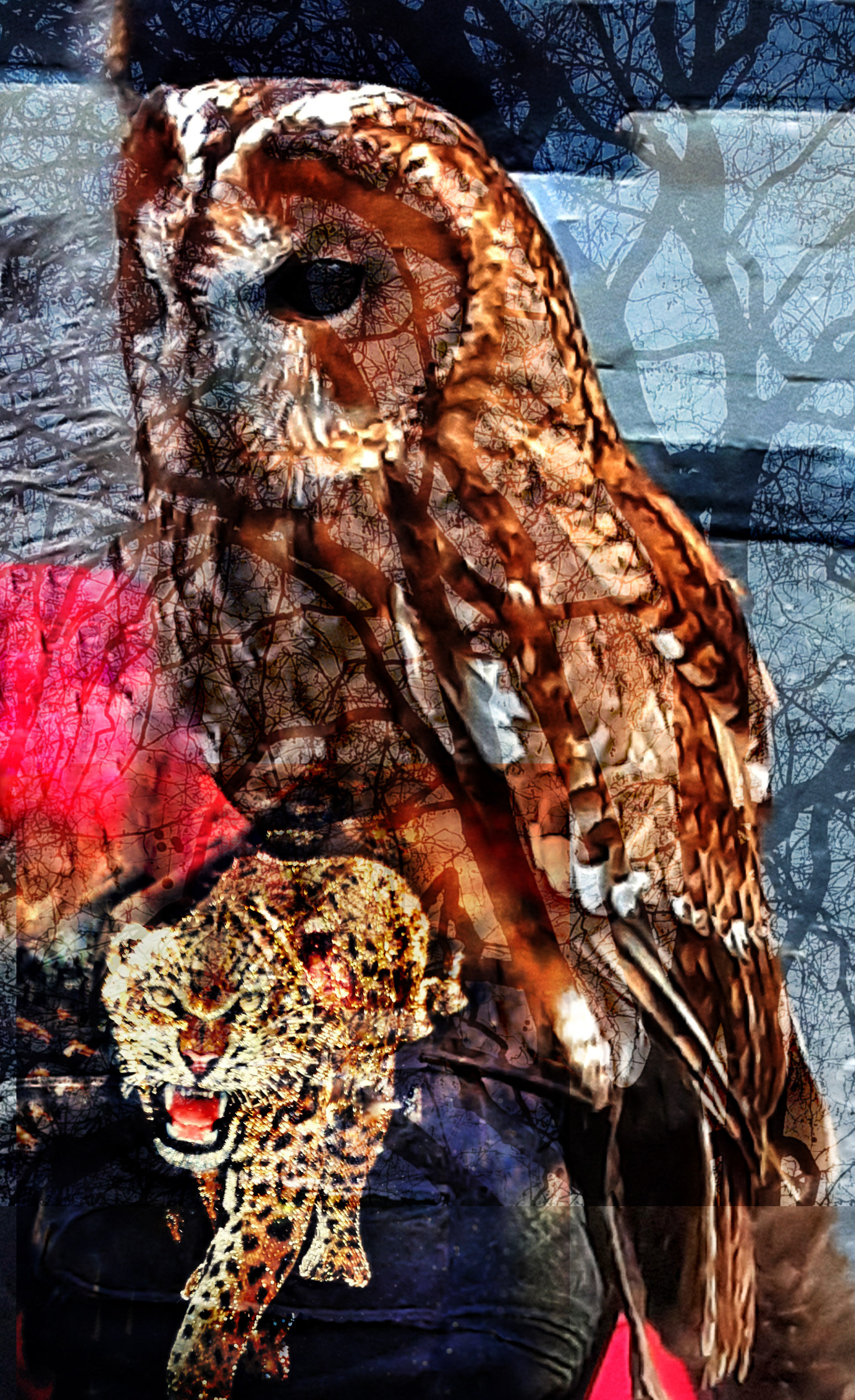 Owl