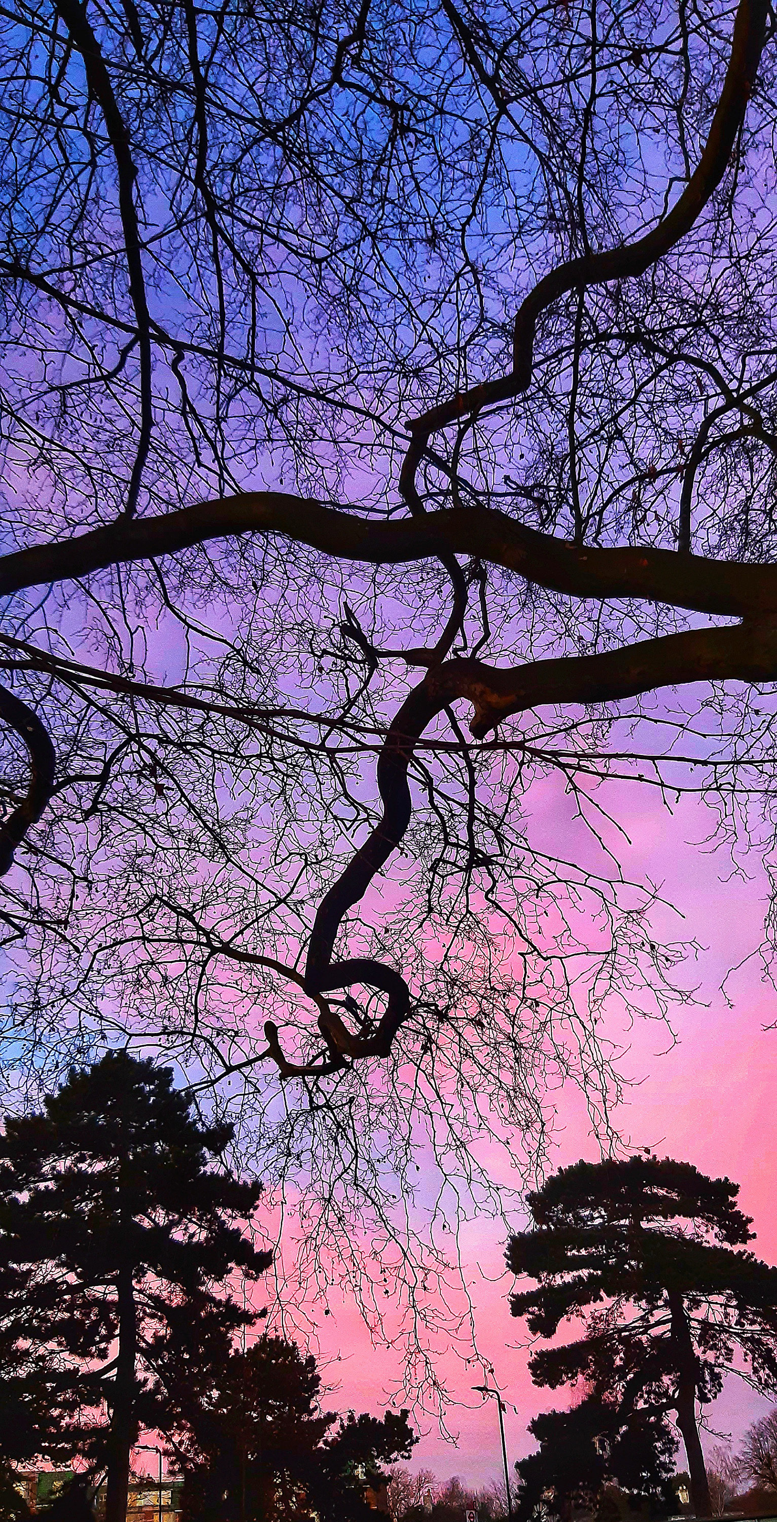 Sky At Dusk