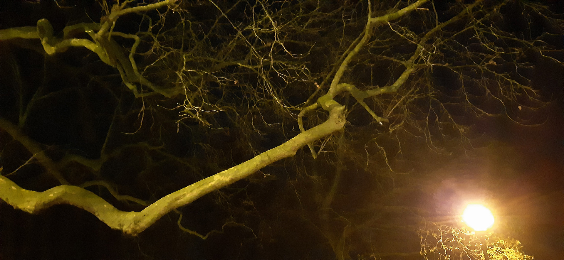 Night Light Sky