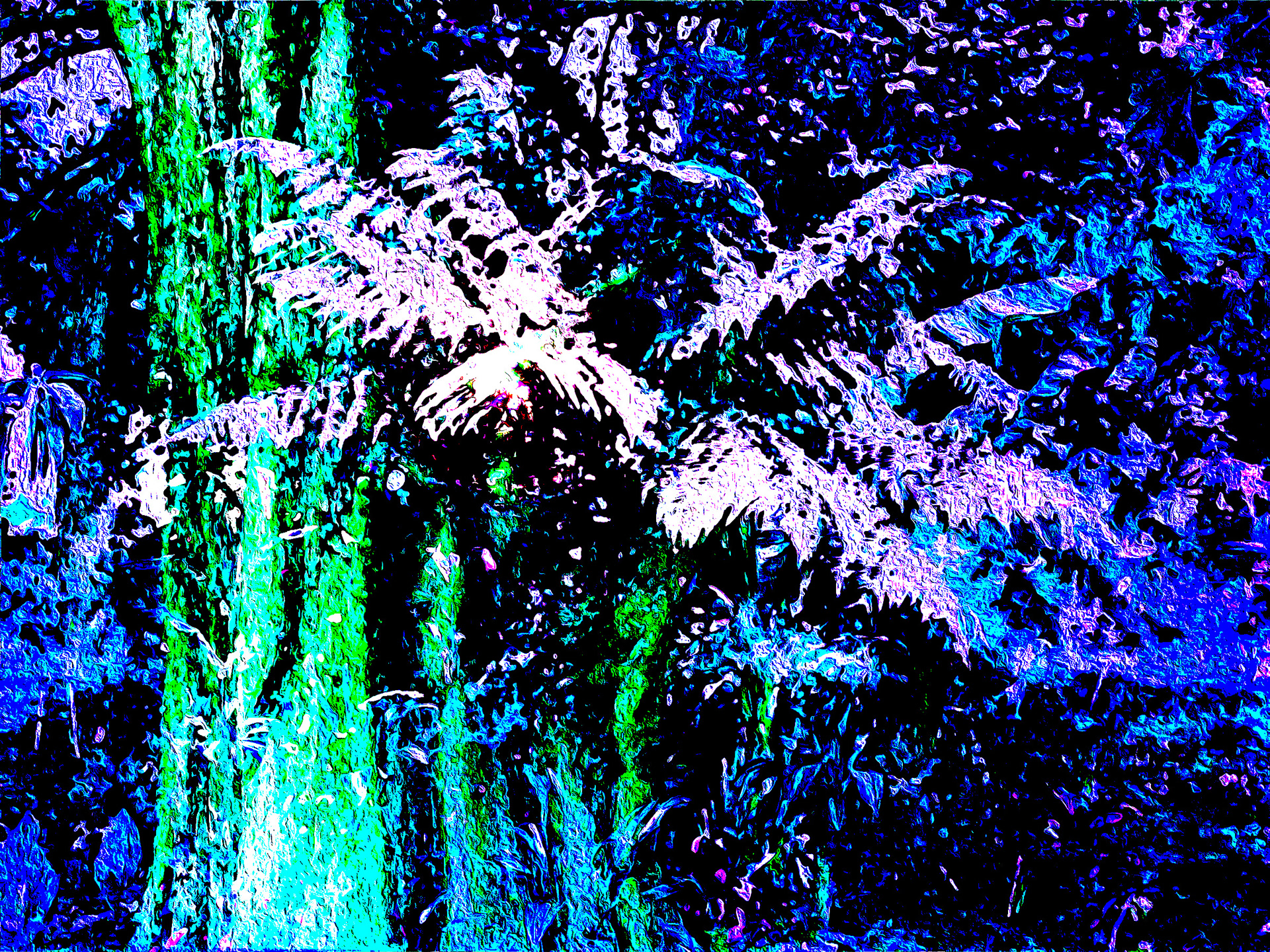 Tree Glow