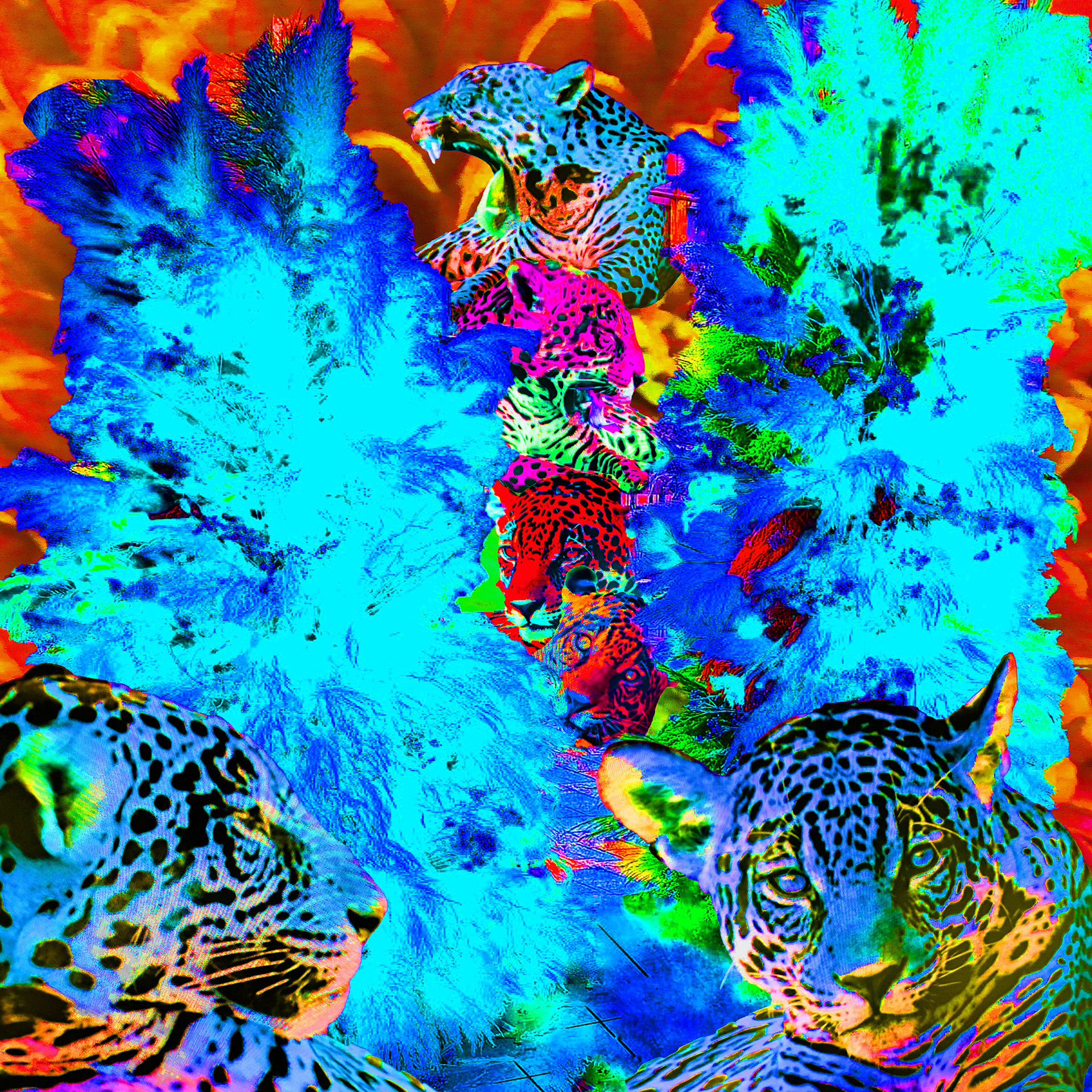 Leopard Smash