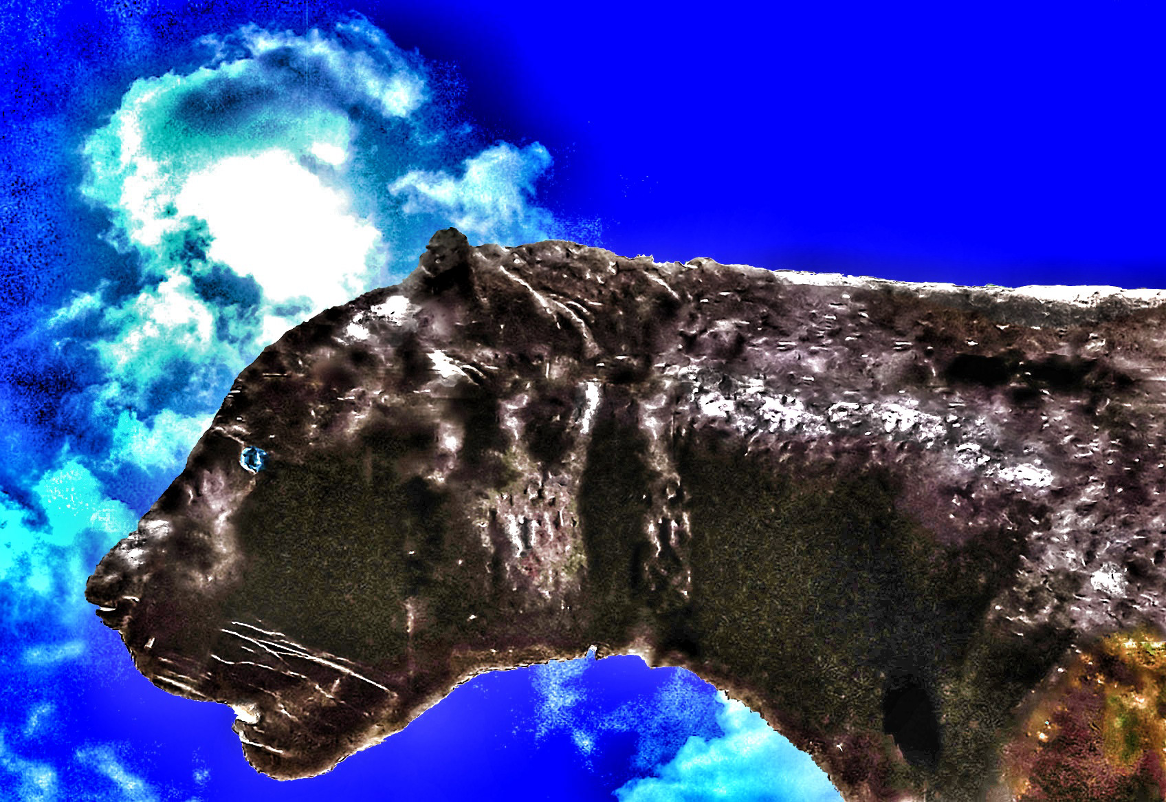 Panther Sky