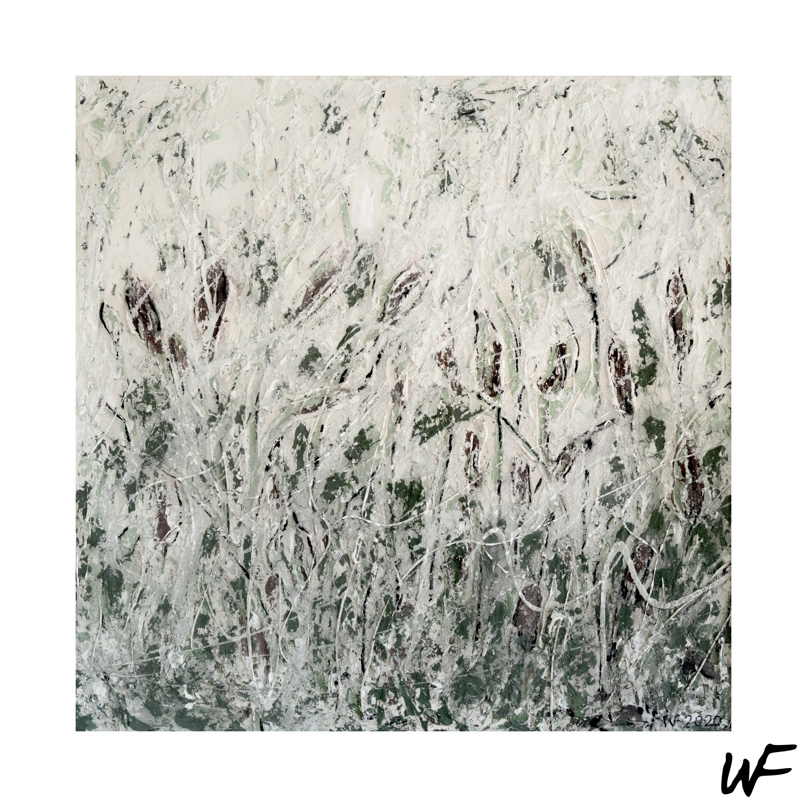 Schilf 7