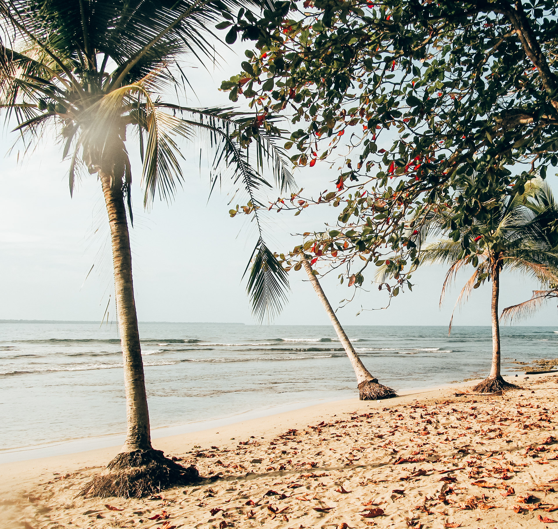 Puerto Viejo, Costa Rica