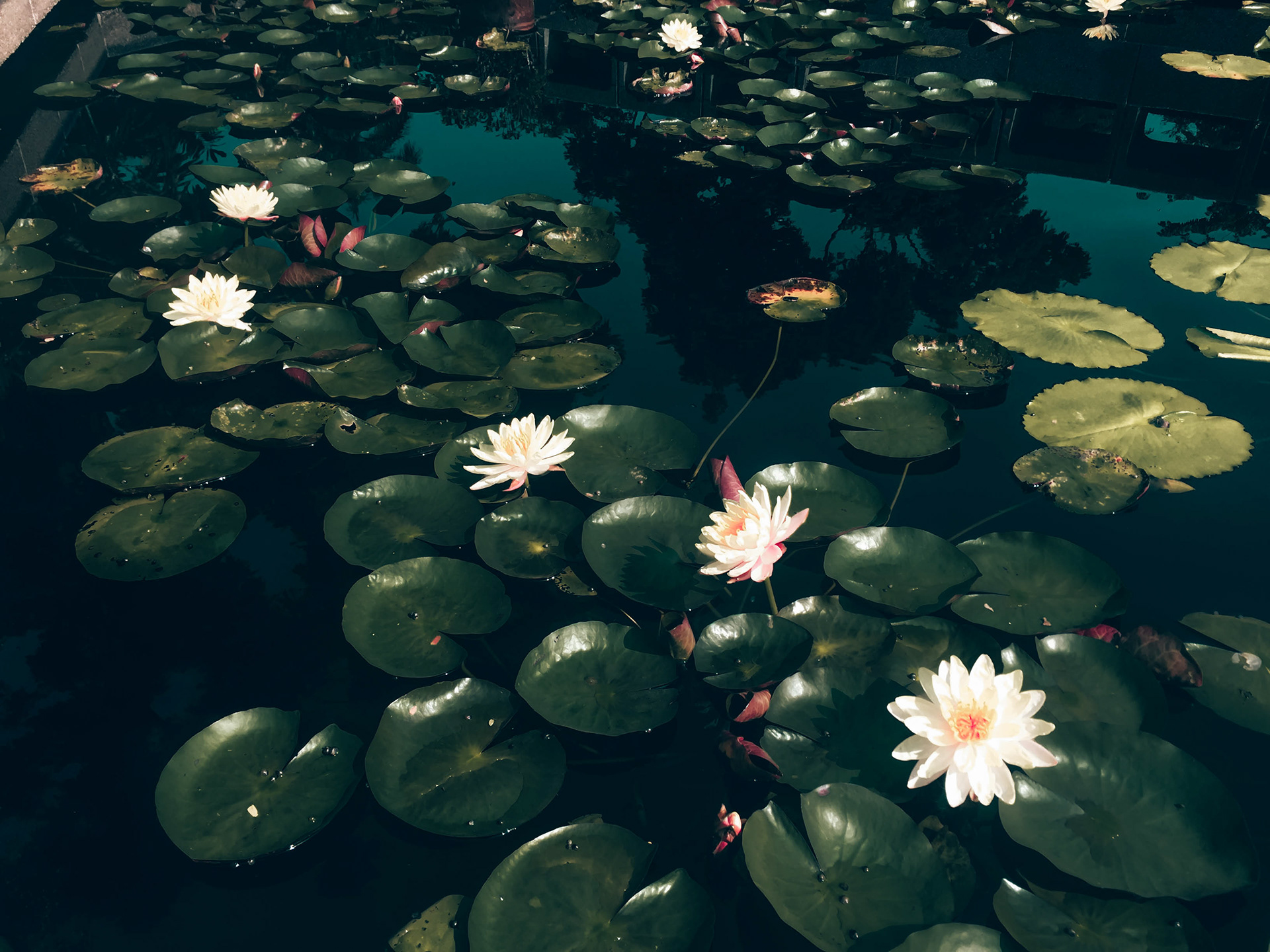 Chiang Mai, Thailand