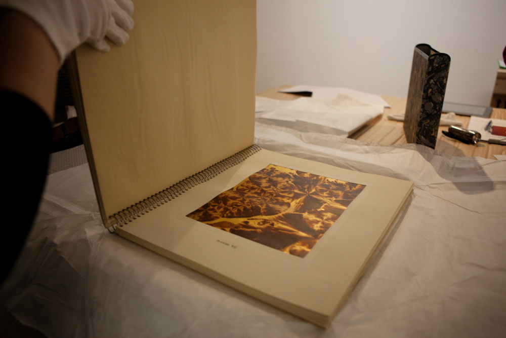 Accrochage de l'exposition "Laure Albin Guillot (1879-1962), l'enjeu classique" au Jeu de Paume. Paris, 18 février 2013.  © Julien Vidal / Parisienne de Photo / Roger-Viollet