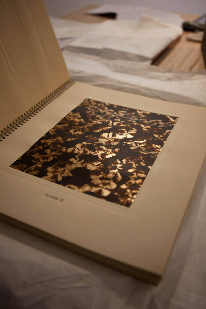 Accrochage de l'exposition "Laure Albin Guillot (1879-1962), l'enjeu classique" au Jeu de Paume. Paris, 18 février 2013.  © Julien Vidal / Parisienne de Photo / Roger-Viollet