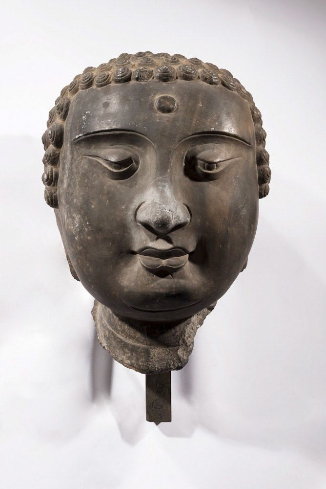 "Tête de Buddha". Pierre. Dynastie des Tang (618 - 907 ap. J.-C.). Paris, musée Cernuschi. © Julien vidal / Roger-Viollet